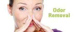 echnician using professional equipment to remove strong odors and improve indoor air quality in a home.