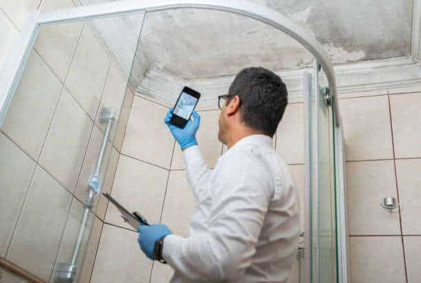 Mold Inspection & Testing Services